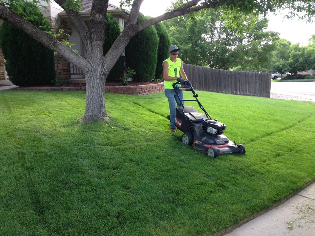 Residential lawn shop service