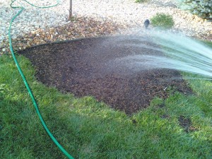 Watering in fresh seed