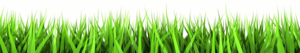 Green grass wide