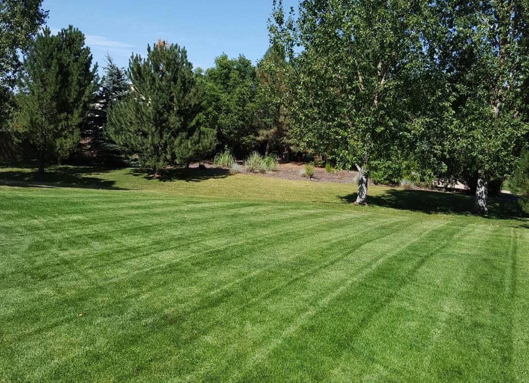 Fertilizer Service Thornton, CO Lawns Happy Roots Happy Roots Lawn Care