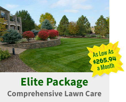 Lawn Care Commerce City Co Happy, Elite Lawn Care And Landscaping Ltd
