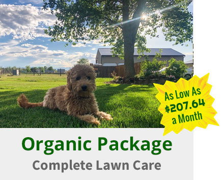 organic-package organic-package